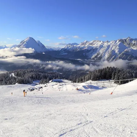 Birkenwald.10 Seefeld in Tirol